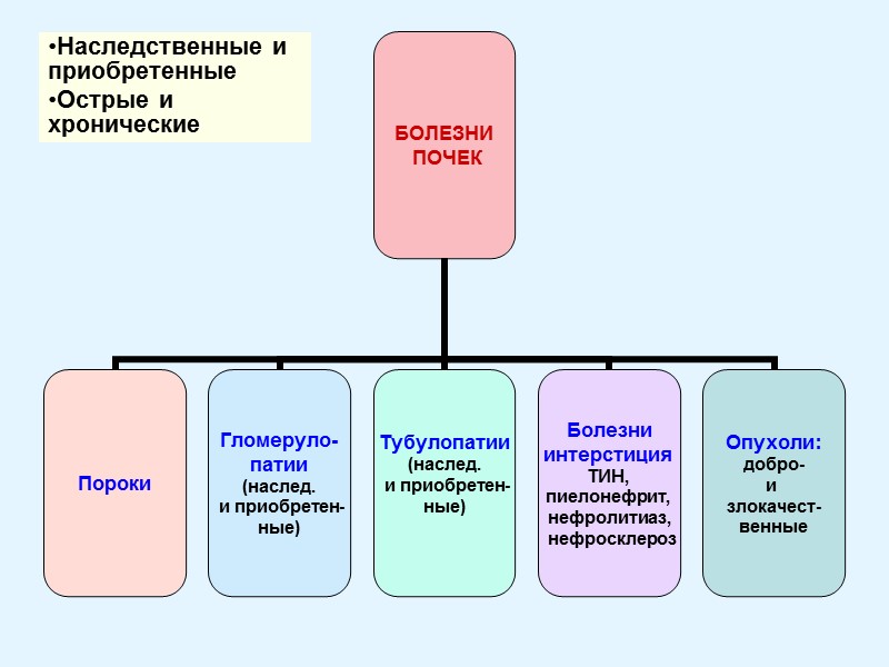 Наследственные и приобретенные Острые и хронические